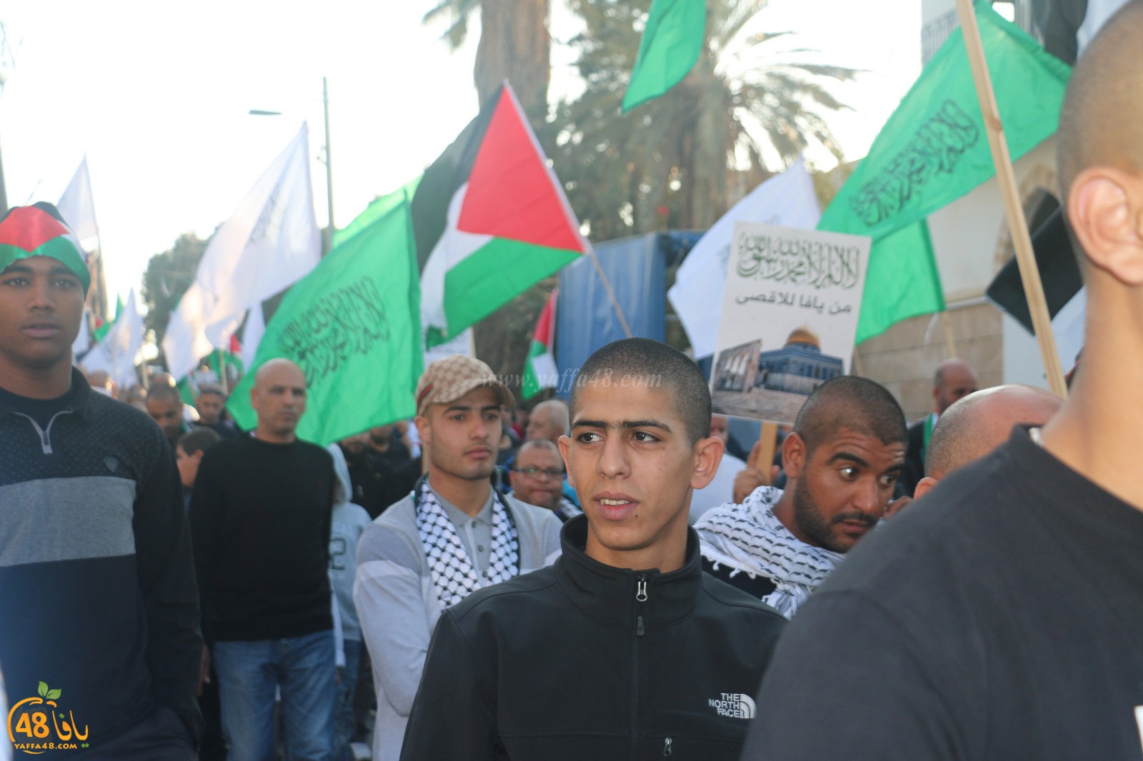 yaffa modahara jeq (80).jpg